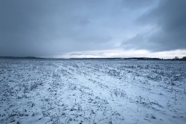 Snow-covered agricultural plowed field and forest under dramatic dark clouds before snowstorm. Winter rural scene. Nature, ecology, environment, climate change, global warming