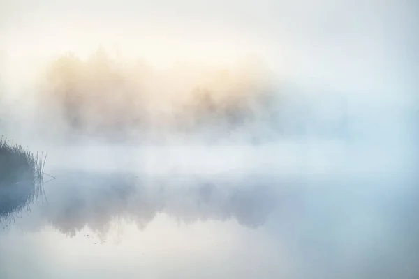 Paysage Pittoresque Lac Forestier Dans Épais Brouillard Blanc Réflexions Sur — Photo