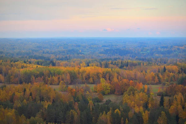 Pintoresca Vista Panorámica Aérea Del Colorido Bosque Otoñal Hojas Doradas — Foto de Stock