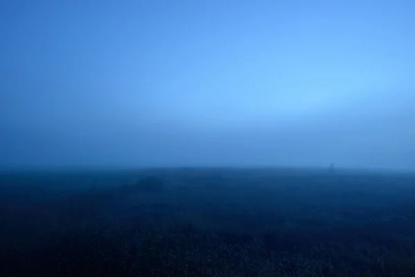 Campo Agrícola Inundado Amanecer Luz Luna Estrellas Niebla Neblina Cielo — Foto de Stock