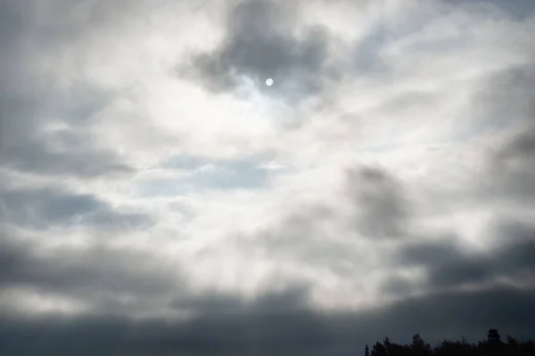 Ciel Bleu Clair Avec Des Cumulus Lumineux Dessus Forêt Rayons — Photo