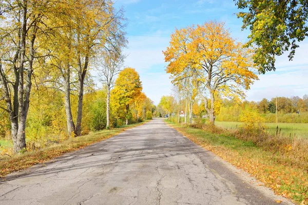 An old country asphalt road through the colorful deciduous trees (oak, maple, birch) with green, yellow, orange, golden leaves. Idyllic autumn rural scene. A view from the car. Seasons, fall, weather