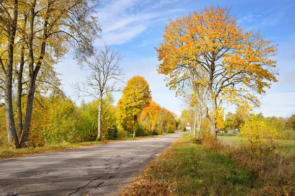 Eine Alte Asphaltstraße Durch Die Bunten Laubbäume Eichen Ahorn Birken — Stockfoto