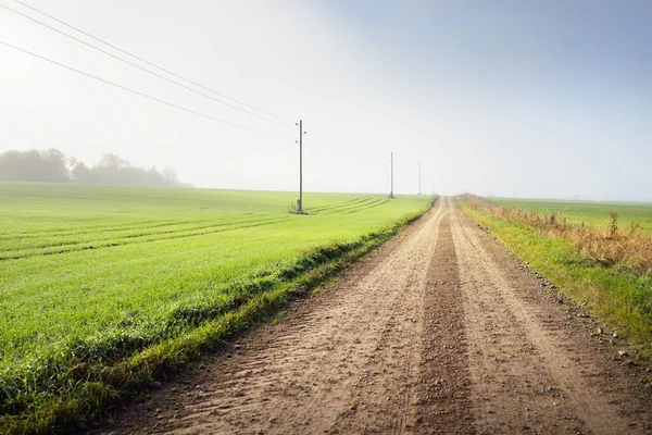 Una Vecchia Strada Sterrata Campagna Attraverso Villaggio Campi Alla Foresta — Foto Stock