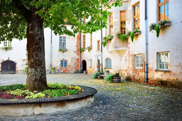 都达加城堡外还有一个美丽的夏季花园装饰元素 彩花特写 景观设计 旅游目的地 拉脱维亚度假 — 图库照片