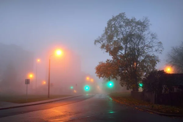 Empty Illuminated Country Asphalt Road Trees Small Town Fog Rainy — Stock Photo, Image