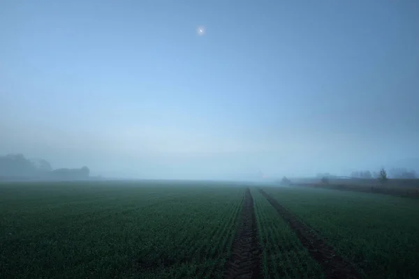 Campo Agrícola Lleno Huellas Tractores Amanecer Luz Luna Estrellas Niebla —  Fotos de Stock