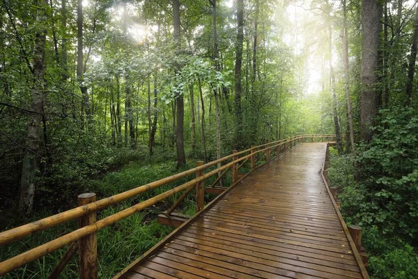 Moderne Houten Kronkelweg Promenade Door Groene Loofbomen Openbaar Park Milieubehoud — Stockfoto