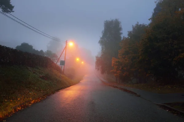 Empty Illuminated Country Asphalt Road Trees Village Fog Rainy Autumn — Stock Photo, Image