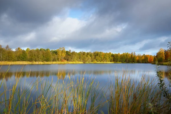 Panoramatický Výhled Lesní Jezero Pod Dramatickou Oblohou Při Východu Slunce — Stock fotografie