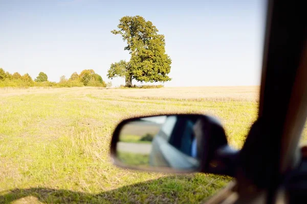 Country Asphalt Road Highway Field Forest Clear Day Warm Midday — Stock Photo, Image