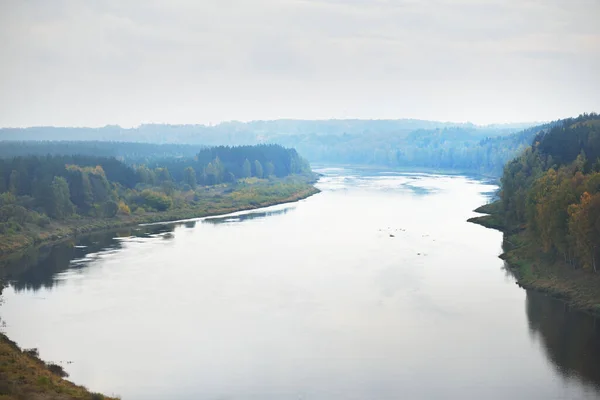 Panoramatický Pohled Majestátní Borový Les Zákruty Řeky Daugavy Podzim Přírodní — Stock fotografie