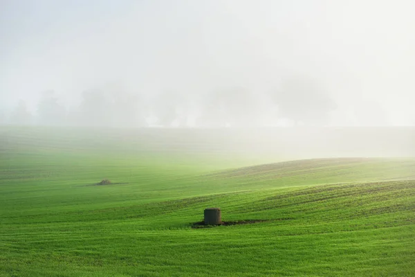 Colinas Verdes Campo Agrícola Arado Com Trilhas Trator Floresta Nascer — Fotografia de Stock