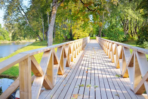 Chemin Moderne Bois Promenade Travers Forêt Verdoyante Feuillus Par Temps — Photo