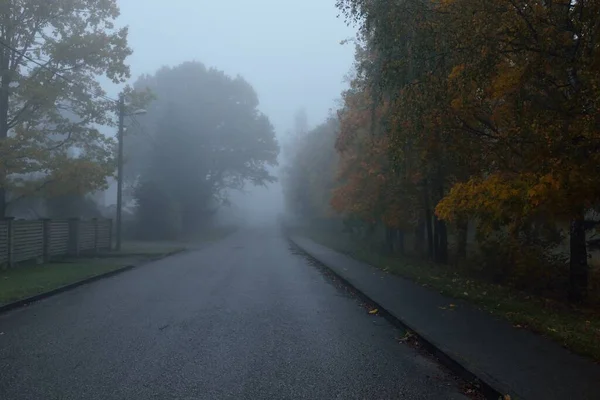 一个空旷的乡间柏油路穿过树林和村庄 在一个下雨天的大雾中 乌云密布的天空 公路旅行 — 图库照片