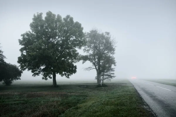 日出时分 在浓雾中穿过田野和森林的一条空旷的公路 沥青路 大气景观 田园诗般的乡村风景 变化无常的天气 危险的驾驶 公路旅行 — 图库照片