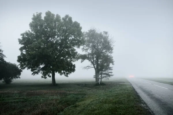 Autostrada Vuota Strada Asfaltata Attraverso Campi Foresta Una Fitta Nebbia — Foto Stock