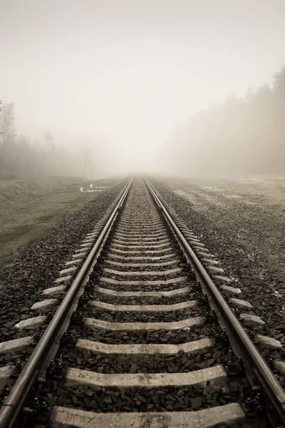 太い白い霧の中で鉄道線路 背景の森 概念的な風景 貨物および旅客輸送 ビジネス 環境被害 セピアモノクロ — ストック写真