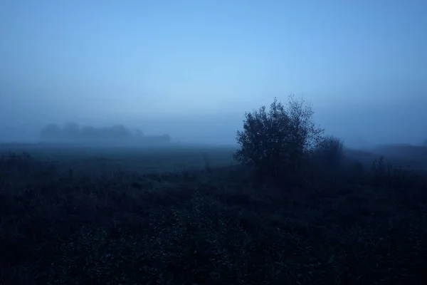 Bepflügtes Landwirtschaftliches Feld Mit Traktorspuren Bei Sonnenaufgang Mondlicht Sterne Nebel — Stockfoto