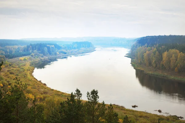 Panorama Luftaufnahme Des Majestätischen Kiefernwaldes Und Der Biegungen Der Daugava — Stockfoto