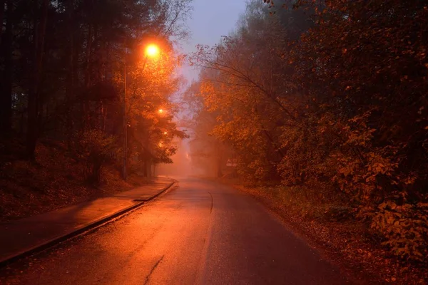 Camino Asfalto Iluminado Vacío Través Los Árboles Pueblo Una Niebla —  Fotos de Stock