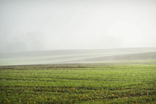 Collines Vertes Champs Agricoles Labourés Avec Tracteurs Forêt Lever Soleil — Photo