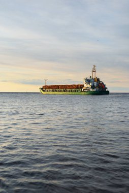 Gün batımında açık denizde yakacak odunları olan büyük yeşil bir kargo gemisi. Görüntüyü algıla. Yük taşımacılığı, ticaret, çevre hasarı, ekolojik sorun, ormanların tahrip edilmesi, siyaset, yolsuzluk