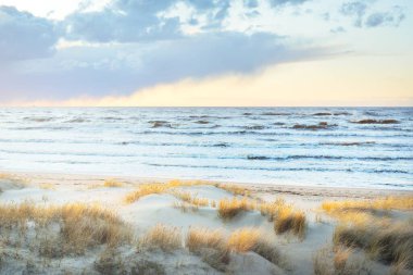 Gün batımında Baltık kıyısı manzarası. Kum tepeleri ve bitkiler yakın plan. Renkli akşam bulutları. Dalgalar ve su sıçramaları. Idyllic deniz manzarası. Letonya