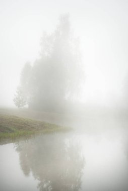 Kalın beyaz bir sis içinde orman nehrinin resimli tek renkli manzarası. Sudaki yansımalar. Karanlık atmosferik manzara. Sonbahar sezonu. Letonya, Avrupa 'da doğa, ekoloji ve çevre koruma