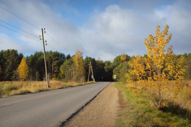 Altın yapraklı ağaçların arasından (meşe, akçaağaç, huş ağacı) ormana giden asfalt yol. Elektrik hattı, yakın plan. Açık mavi gökyüzü. Sonbahar renkleri. Idyllic kırsal kesim. Seyahat, lojistik, mesafe;