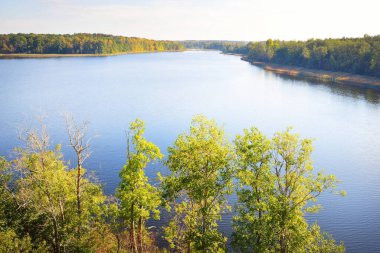 Ormanın panoramik hava manzarası ve mavi bir nehir. Açık gökyüzü, saf sıcak sabah güneşi. Renkli altın ağaçlar yakın plan. Letonya 'da sonbaharın başlarında. Idyllic kırsal alanı