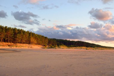 Destansı kümülüs bulutları, fırtınadan sonra kumlu Baltık deniz kıyısında. Çam ormanı, kum dokusu yakın plan. - Letonya. Dramatik bir gökyüzü. Ekoloji, çevre koruma, kararsız hava, iklim değişikliği