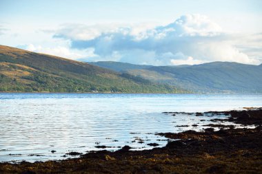 Bulutlu bir günde Loch Fyne yakınlarındaki sahil, orman ve tepelerin manzarası. Inveraray, Inner Hebrides, Argyll ve Bute, İskoçya, İngiltere