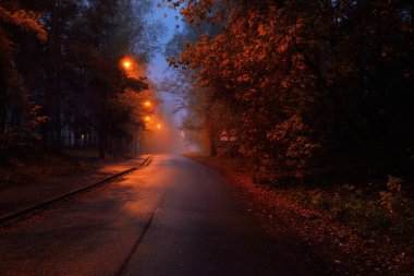 Ağaçların arasından geçen, boş, asfalt bir köy yolu ve yağmurlu bir günde, sisli bir kasabada küçük bir kasaba, yakındaki sokak lambaları, kırmızı ışık. Yolculuk, ulaşım, iletişim, sürüş