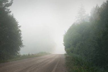 Güneşin doğuşunda sisli bir havada yeşil orman ve tarlalar boyunca boş bir toprak arazi yolu (alley). Saf sabah ışığı. Letonya 'da sonbaharın başlarında. Sonbahar, mevsimler, seyahatler, tatiller, eko turizm teması