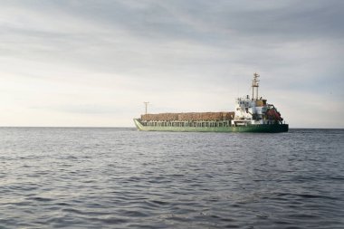 Gün batımında açık denizde yakacak odunları olan büyük yeşil bir kargo gemisi. Görüntüyü algıla. Yük taşımacılığı, ticaret, çevre hasarı, ekolojik sorun, ormanların tahrip edilmesi, siyaset, yolsuzluk