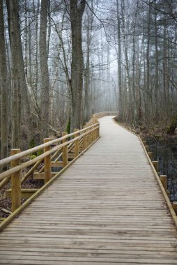 Sabah sisi içinde sulak arazide modern ahşap patika. Letonya 'da ilkbahar başı. Idyllic kırsal kesim. İskandinav yürüyüşü, dinlenme, eko turizm, çevre koruma kavramları