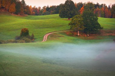 Güneşin doğuşuyla birlikte yeşil tepeler, tarlalar ve ormanın içinden geçen dolambaçlı kırsal bir yolun resimli hava görüntüsü. Meşe, ladin, huş ağacı. Renkli altın, kırmızı, turuncu yapraklar. Doğa, mevsimler, sonbahar