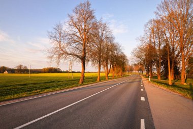 Gün batımında tarımsal kırsal alanlarda boş bir otoyol. Uzun yaprak döken ağaçlardan oluşan bir ara sokak. - Letonya. Bahar manzarası. Yeni asfalt yol. Hız, özgürlük, sürüş kavramları