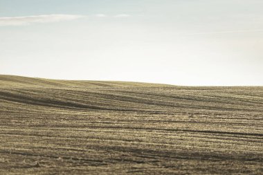 Güneş doğarken, yakın planda traktör izleriyle tarlaya sürülmüş. Altın ışık, sis, sis. Resimli sonbahar manzarası. Kırsal alan. Koyu doğal desen, doku, arkaplan, duvar kağıdı