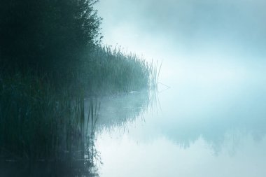 Kalın beyaz bir sis içinde orman gölünün resim gibi manzarası. Sudaki yansımalar. Karanlık atmosferik manzara. Sonbahar sezonu. Doğa, ekoloji, çevre koruma, eko turizm