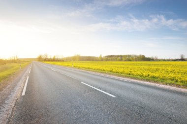 Sarı kolza tohumu tarlasında açık mavi gökyüzü, Letonya 'ya karşı bomboş bir otoyol. Idyllic kırsal kesim. Tarım, yakıt ve gıda sanayii, alternatif enerji, çevre koruma