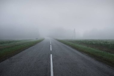 Gün doğumunda yoğun bir sis altında tarlalar ve ormanın içinden (asfalt yol) boş bir otoyol. Atmosferik manzara. Idyllic kırsal kesim. Karanlık, sonbahar mevsimi, kararsız hava, tehlikeli sürüş, yolculuk