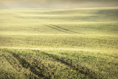 Güneş doğarken, yakın planda traktör izleriyle tarlaya sürülmüş. Altın ışık, sis, sis. Resimli sonbahar manzarası. Kırsal alan. Soyut doğal desen, doku, arkaplan, duvar kağıdı