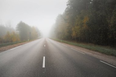 Yoğun siste boş asfalt yolu (karayolu). Kentsel sonbahar manzarası kavramı. Ulaşım, tehlikeli sürüş, hız, özgürlük, seyahat, turizm, tatiller, boşluk, yalnızlık, yol