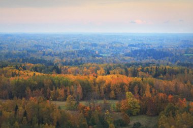 Renkli sonbahar ormanının resimli panoramik hava manzarası. Altın, kırmızı, turuncu, sarı, yeşil yapraklar. Ladin, çam, huş ağacı, akçaağaç ağaçları. Dramatik gün batımı gökyüzü. Doğa, ekoloji, çevre, turizm