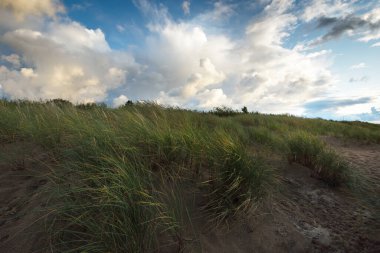Gün batımında fırtınadan sonra Baltık deniz kıyısında parlayan kümülüs bulutlarıyla mavi gökyüzü, yakın çekim yeşil kum tepecikleri. Idyllic manzara. Ilık güneş ışığı. Seyahat yerleri, eko turizm
