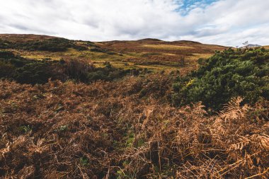 Jura adasının kıyıları, tepeleri ve vadilerinin panoramik manzarası. Bulutlu mavi gökyüzü. Fırtınalı hava. Paps of Jura, Inner Hebrides, İskoçya, İngiltere. Seyahat yerleri, eko turizm, ulusal simgeler