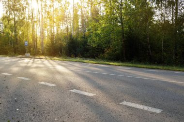 Şafak vakti yeşil yaprak döken ormanda (asfalt yolda) boş bir karayolu. Saf sabah güneşi. Otobüs durağından bir manzara. Ulaşım, seyahat yerleri, tatiller, sürüş, özgürlük