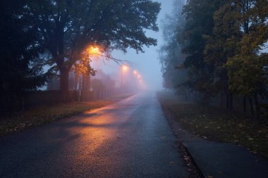 Yağmurlu bir sonbahar gününde, ağaçların ve köyün içinden geçen, boş, asfalt bir köy ve sisli bir yol, yakındaki sokak fenerleri, kırmızı ışık. Yolculuk, ulaşım, iletişim, sürüş